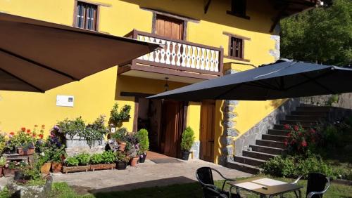 Zeberio Hostel | Casa mandoia