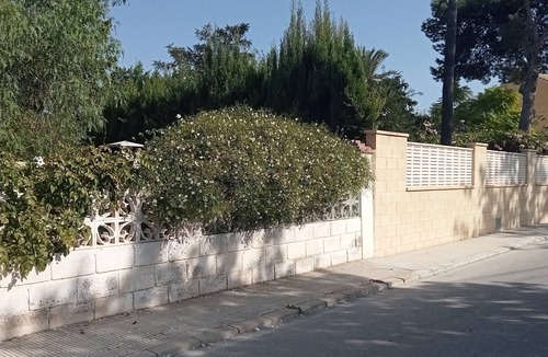 San Juan de Alicante Apartment | Casa Maria with Mediterranean garden