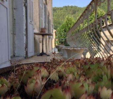 Ghisoni Apartment | Casa Mariana