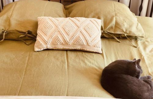 Sant Jordi Desvalls Bed & Breakfast | Casa Migdia