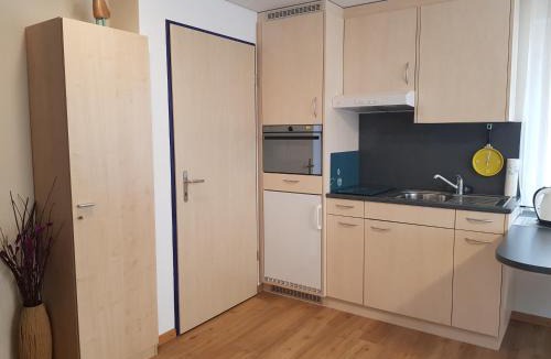 Saint Georgen Ot Brigach Apartment | Casa Mila