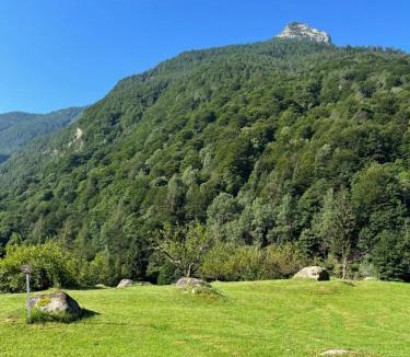 Brione House | casa MIRO'