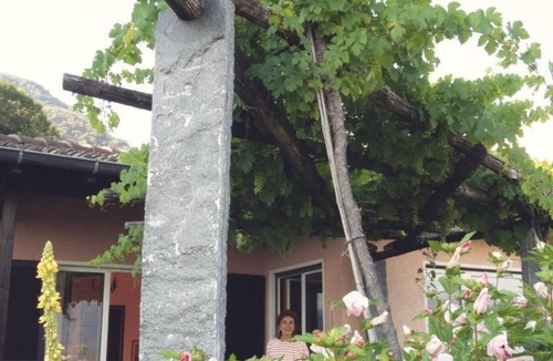 Minusio House | Casa Nespole, Familiennest mit Seesicht by Interhome