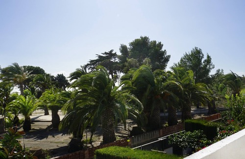 El Paraiso House | Casa Paradise - Alojamientos turísticos MarCalma