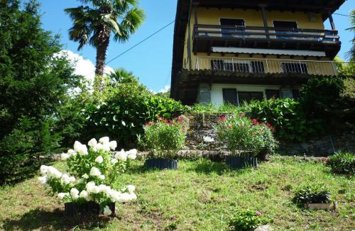 Magadino Apartment | Casa Petra