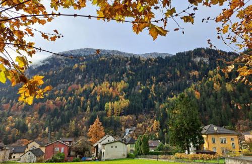 Faido Apartment | Casa Pineta - mountain atmosphere in the Leventina Valley