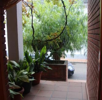 Siles House | Casa Pinos