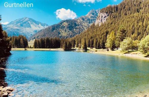 Gurtnellen Apartment | Casa Restelli OG - nahe Andermatt Gotthard