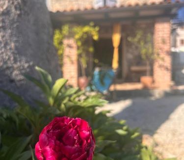 Jasenovica Apartment | Casa romana