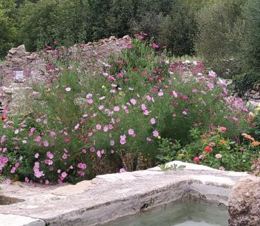 Villafranca del Cid House | Casa Rural Caseta de l' Hort