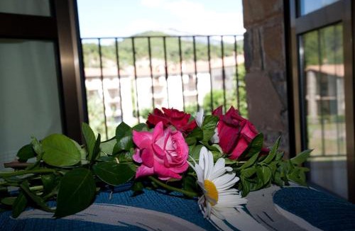 Puertolas Apartment | Casa Rural Sofia Ordesa