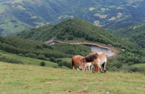 Arantza House | Casa rural SOROA landetxea