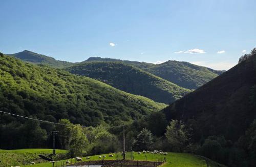 Baztan House | CASA RURAL Urruska