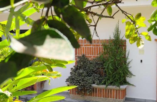 Coatepec Bed & Breakfast | Casa San José