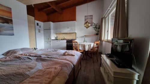 Sementina Apartment | Casa Scerina