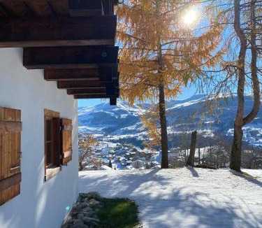 Tavanasa House | Casa Seglias