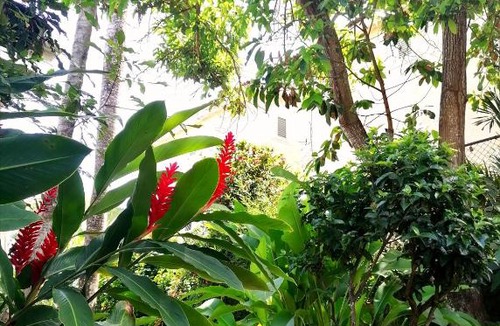 La Iglesia Apartment | Casa sol