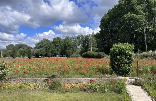 Pegomas House | Casa Sordello