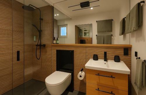 Flond Apartment | Casa Suvita , Alpine Luxury Apartment Surselva