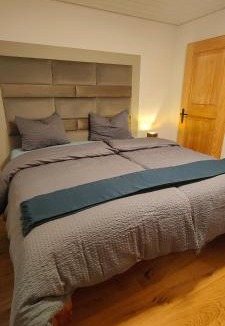Flond Apartment | Casa Suvita , Alpine Luxury Apartment Surselva