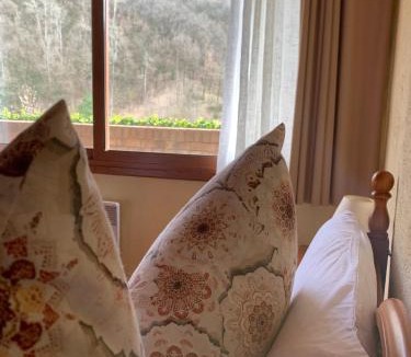 Rio Flamicell Bed & Breakfast | Casa Teresina