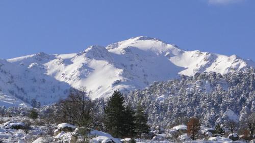 Casamaccioli Bed & Breakfast | Casa Vanella