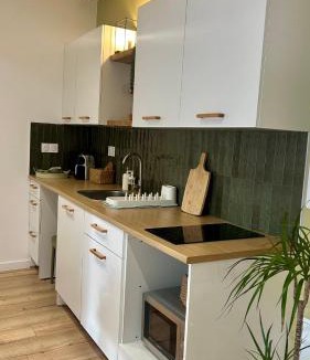Saint-Chamond Apartment | Casa Verde