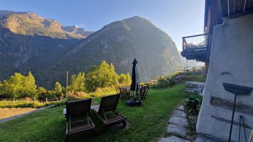 Campo House | Casa Viola