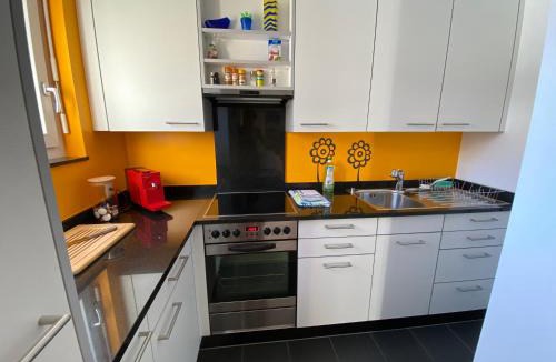 Savognin Apartment | Casa Zundregn - ein Bijou mit privater Terrasse und E-Mobility
