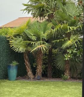 Talamanca de Jarama House | Casablanca de Talamanca