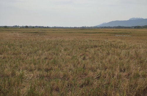 Nyior Chabang Hotel | CasaBlu