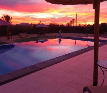 Elche House | casadelfenix