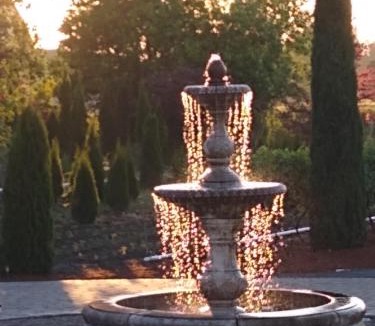 Forest Grove Bed & Breakfast | Casale