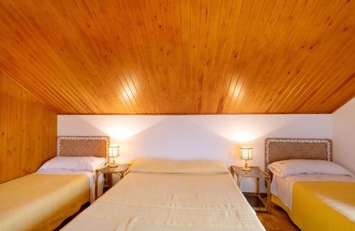 Avia House | Casanova de Noet
