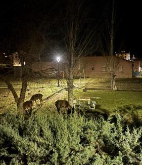 Peralejos de las Truchas Apartment | Casas Rurales Chon Alto Tajo