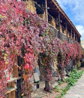 Peralejos de las Truchas Apartment | Casas Rurales Chon Alto Tajo