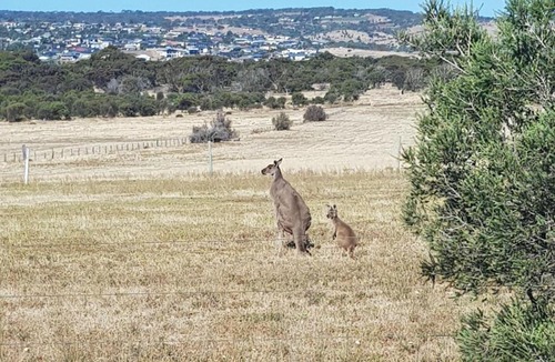 Noarlunga Downs Apartment | Cascabelbnb Private 2BR apartment