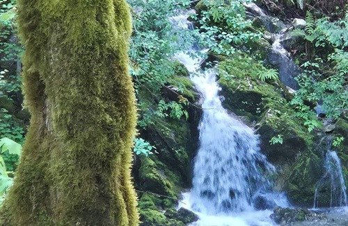 Marblemount Cabin | Cascade River Cabin + Hot Tub, Firepit