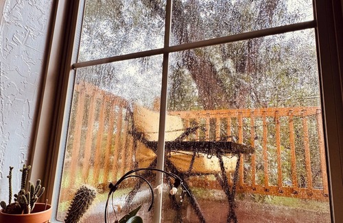 El Paso Cabin | Casita Gaia…charming little Loft on an Orchard