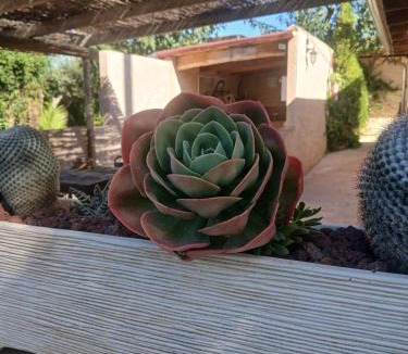 Vilafames House | Casita Sol
