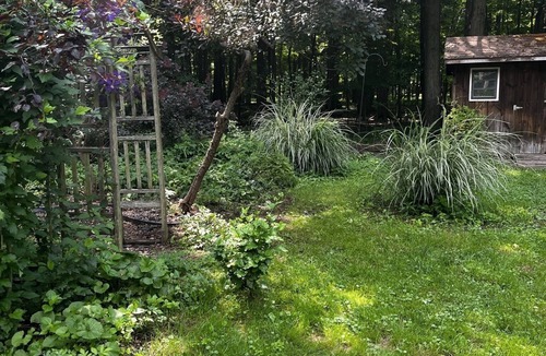 Lily Dale Cottage | Cassadaga cottage in the woods