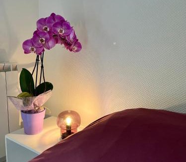 Jouvence Apartment | Cassis - Studio terrasse - Centre Dijon BSB Jouvence