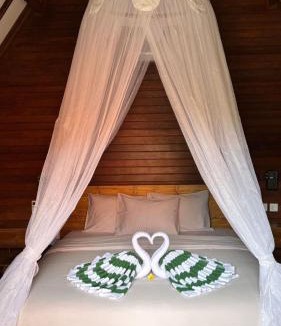 Mushroom Bay Hostel | Castaway Island Hostel