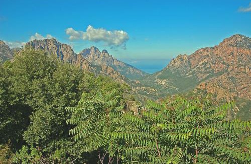 Evisa Hotel | Castel de Vergio