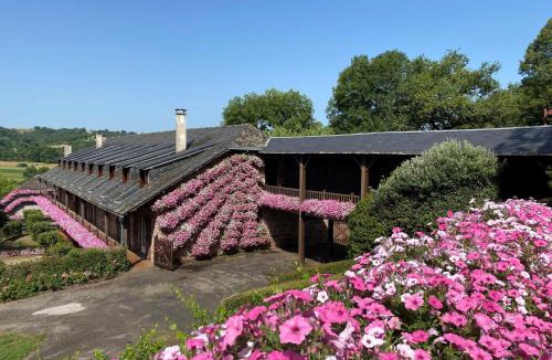 Varetz Hotel | Castel Novel Cottage