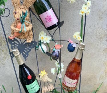 Vauciennes Bed & Breakfast | Castelger