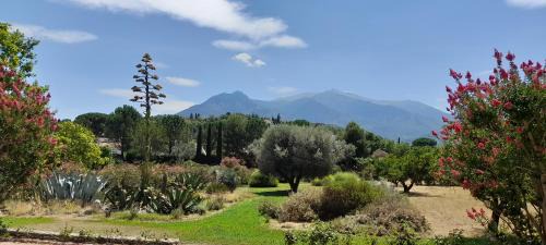 Prades Bed & Breakfast | Castell Rose