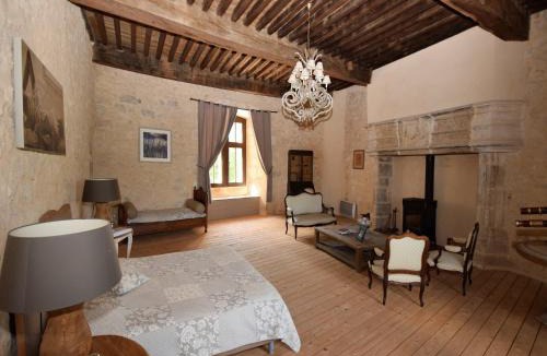 Bon-Encontre House | Castle 12th century with private pool close to Agen