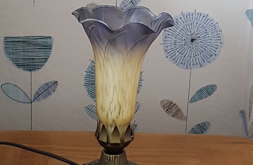 Dover House | Castle Guest House