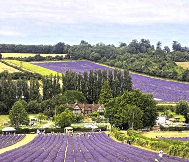 Eynsford Hotel | Castle Hotel